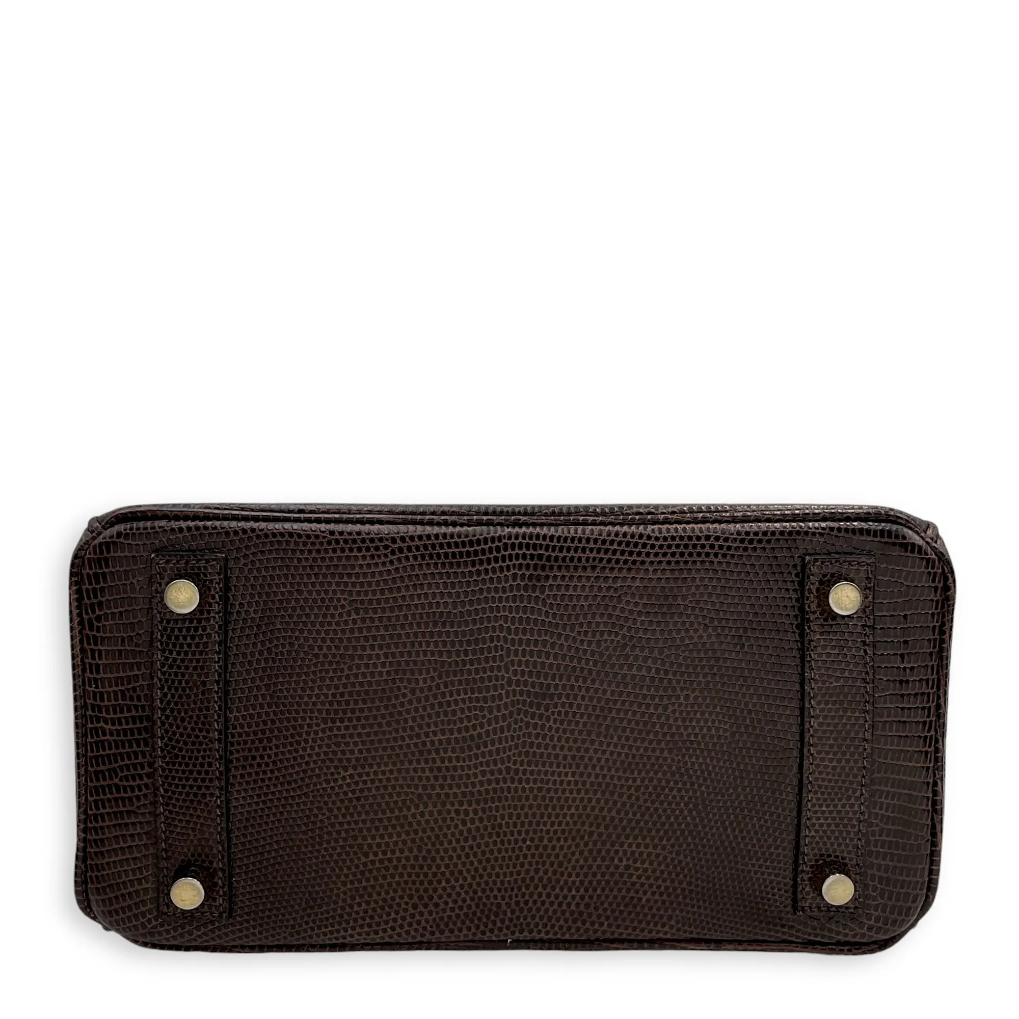 Birkin 25 Cocaon in Lizard Varanus Niloticus, Gold hardware