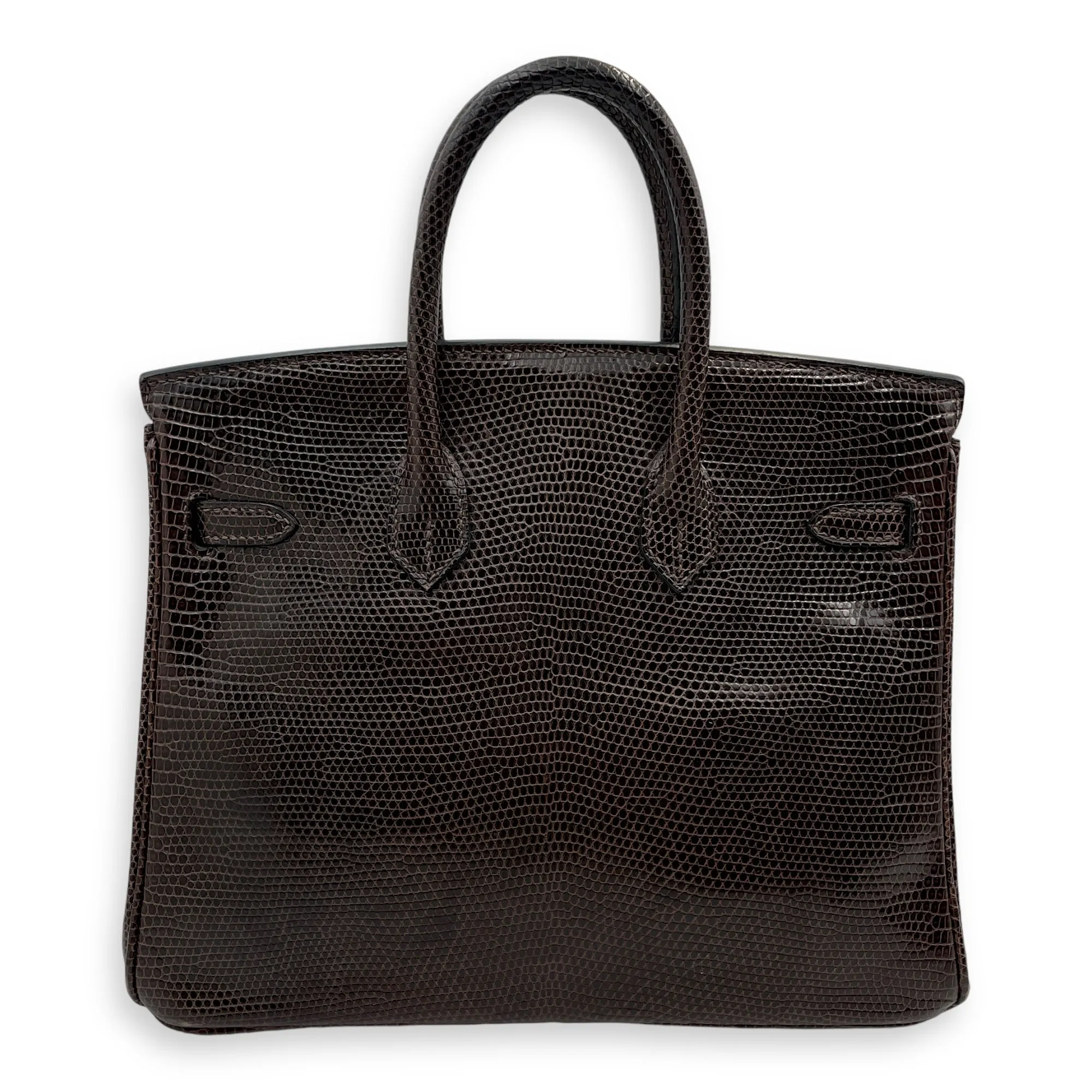 Birkin 25 Cocaon in Lizard Varanus Niloticus, Gold hardware