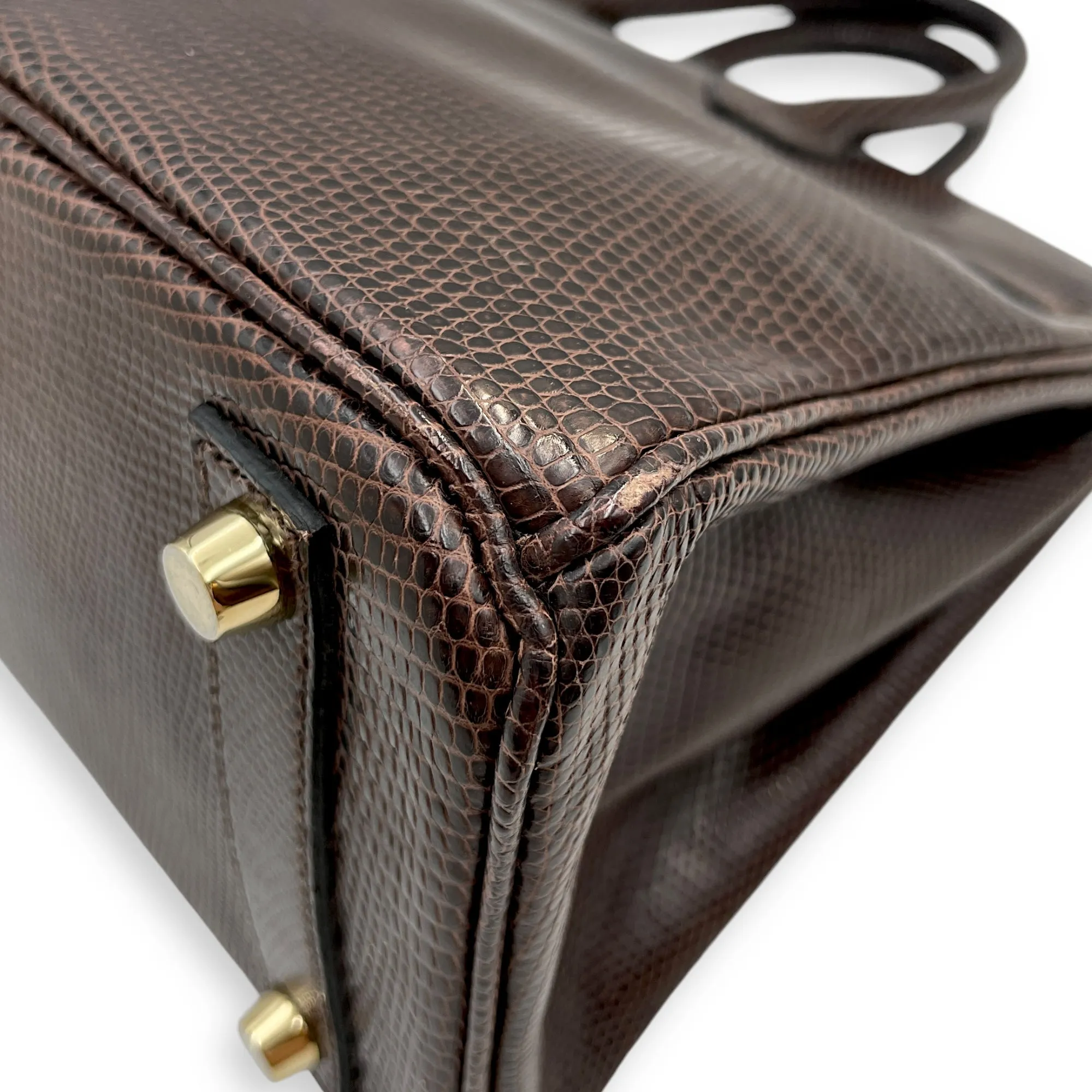 Birkin 25 Cocaon in Lizard Varanus Niloticus, Gold hardware