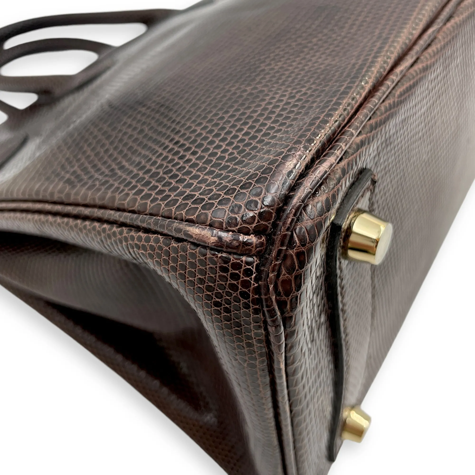 Birkin 25 Cocaon in Lizard Varanus Niloticus, Gold hardware