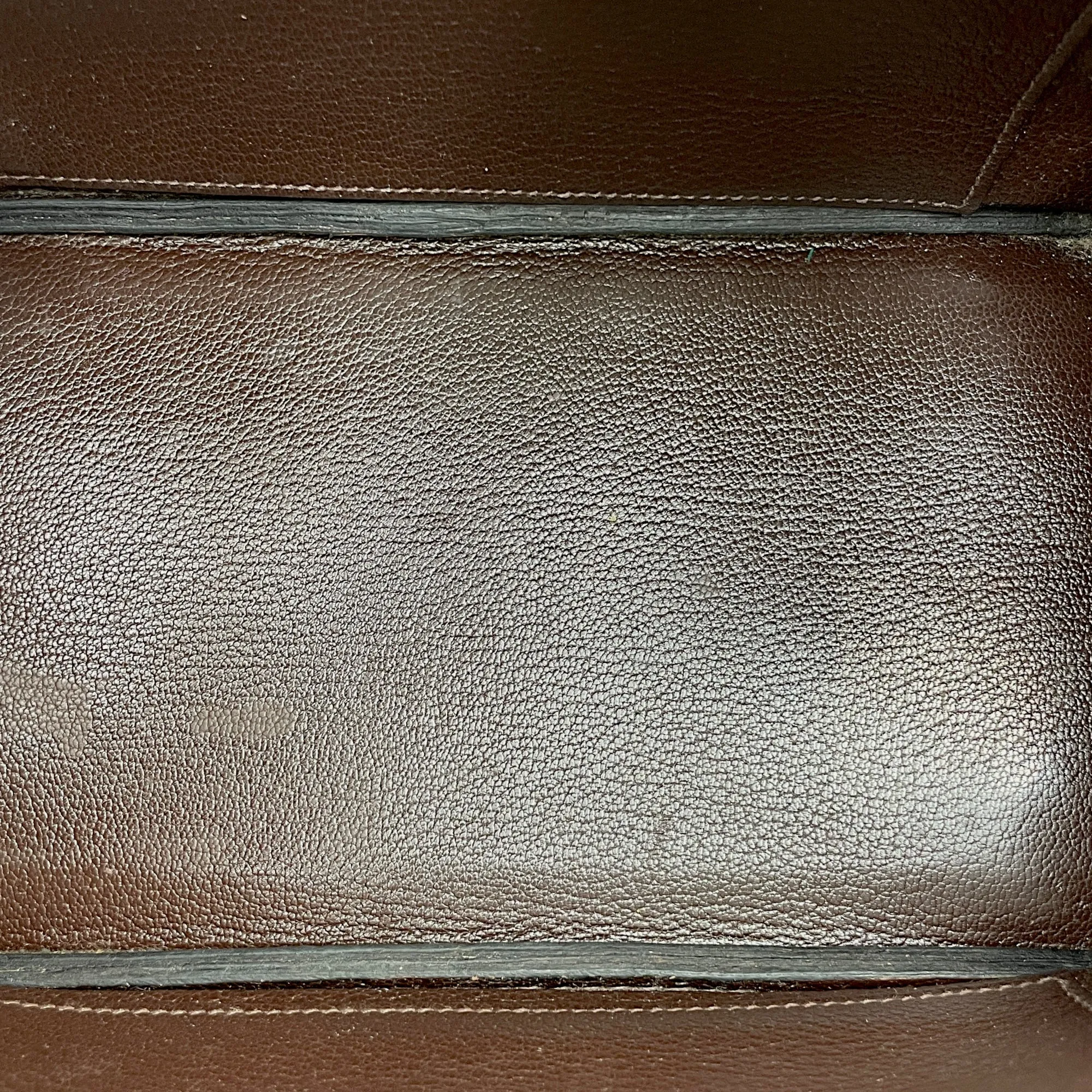 Birkin 25 Cocaon in Lizard Varanus Niloticus, Gold hardware