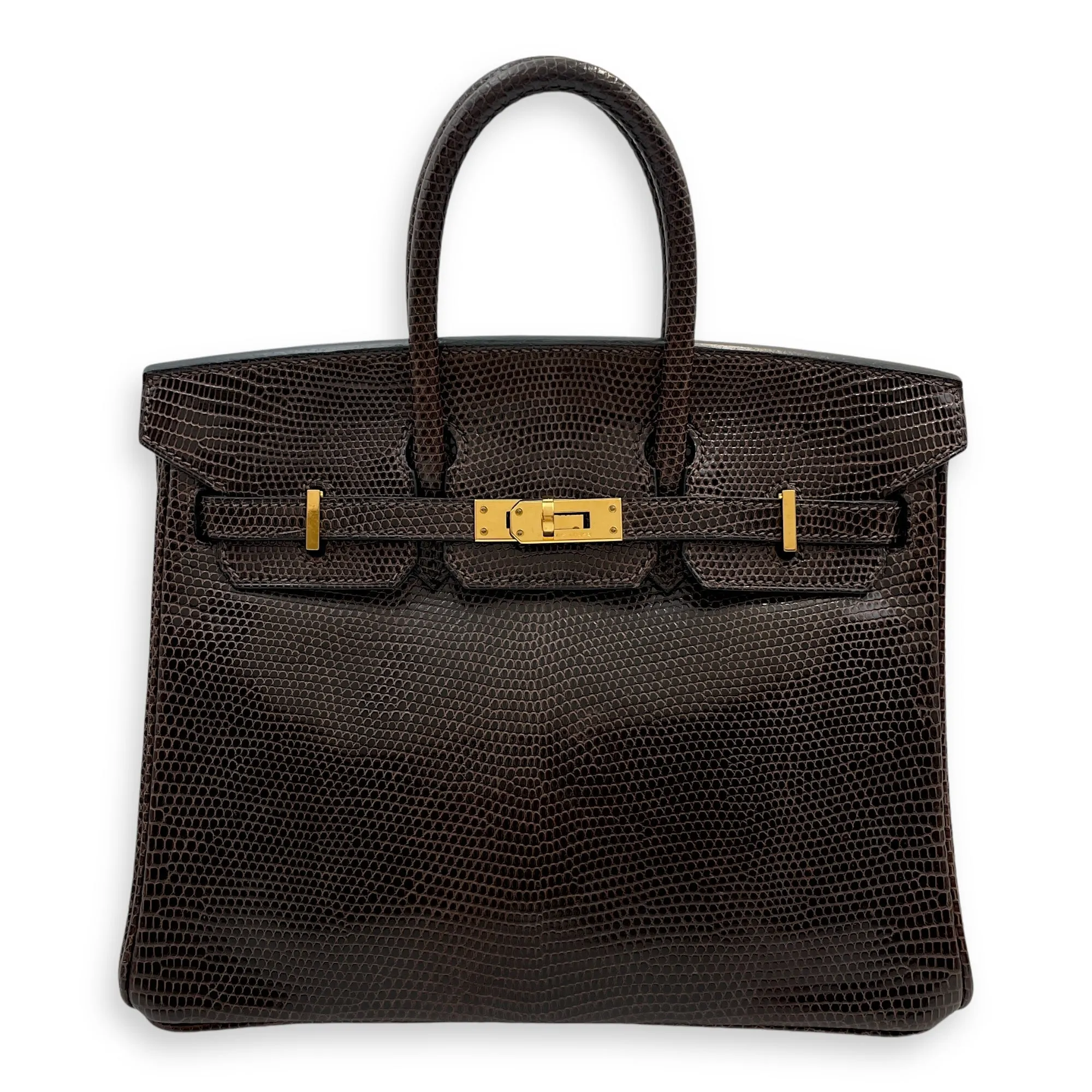 Birkin 25 Cocaon in Lizard Varanus Niloticus, Gold hardware
